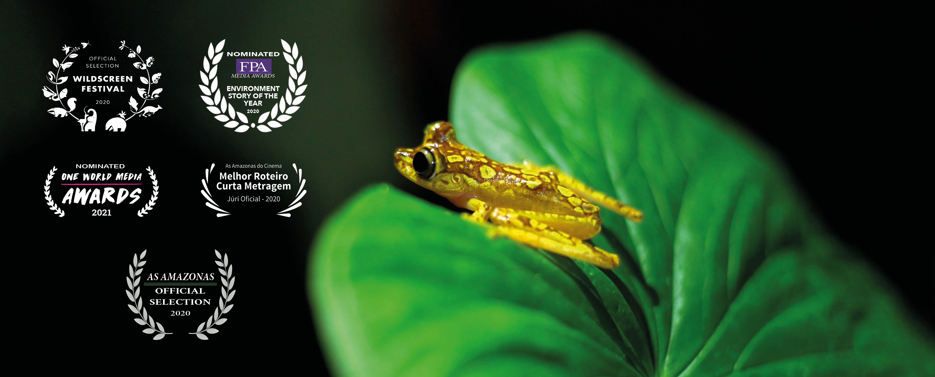 Ecuador's Hidden Treasure